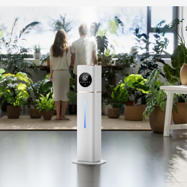 The Perfect Balance of Humidity with DREO's Smart Humidifiers - DREO
