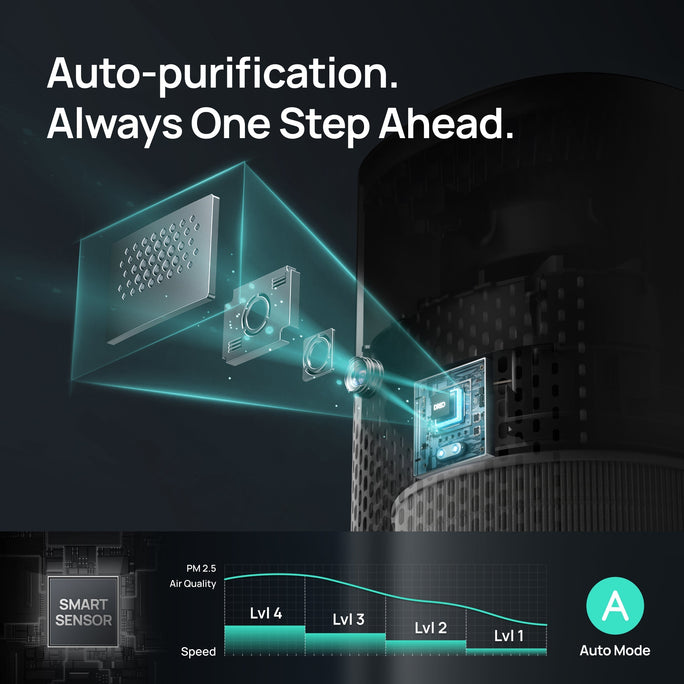 Auto-purification.