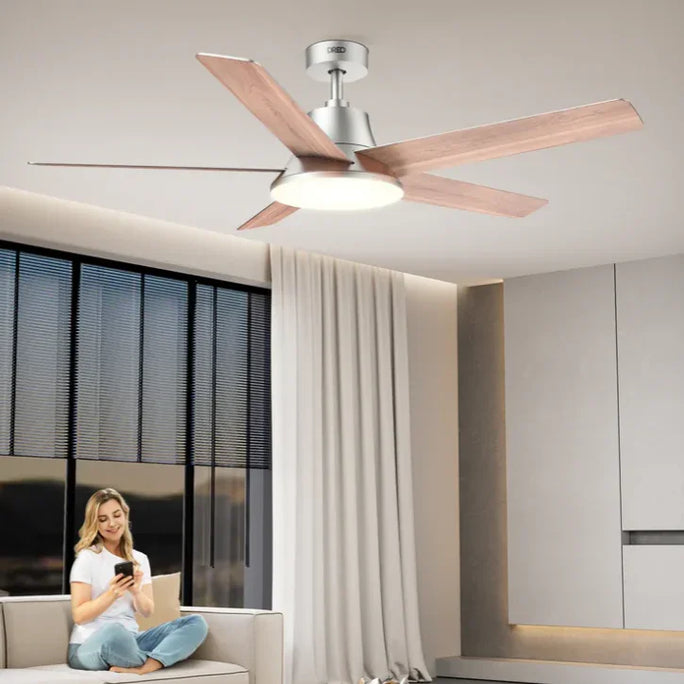 How to Replace a Ceiling Fan? - DREO
