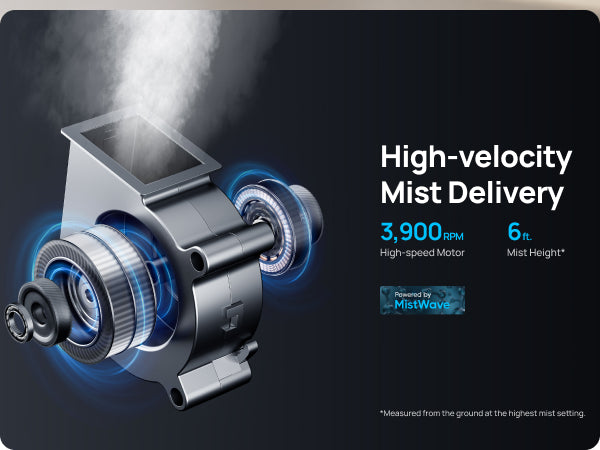 Slideshow mobile image