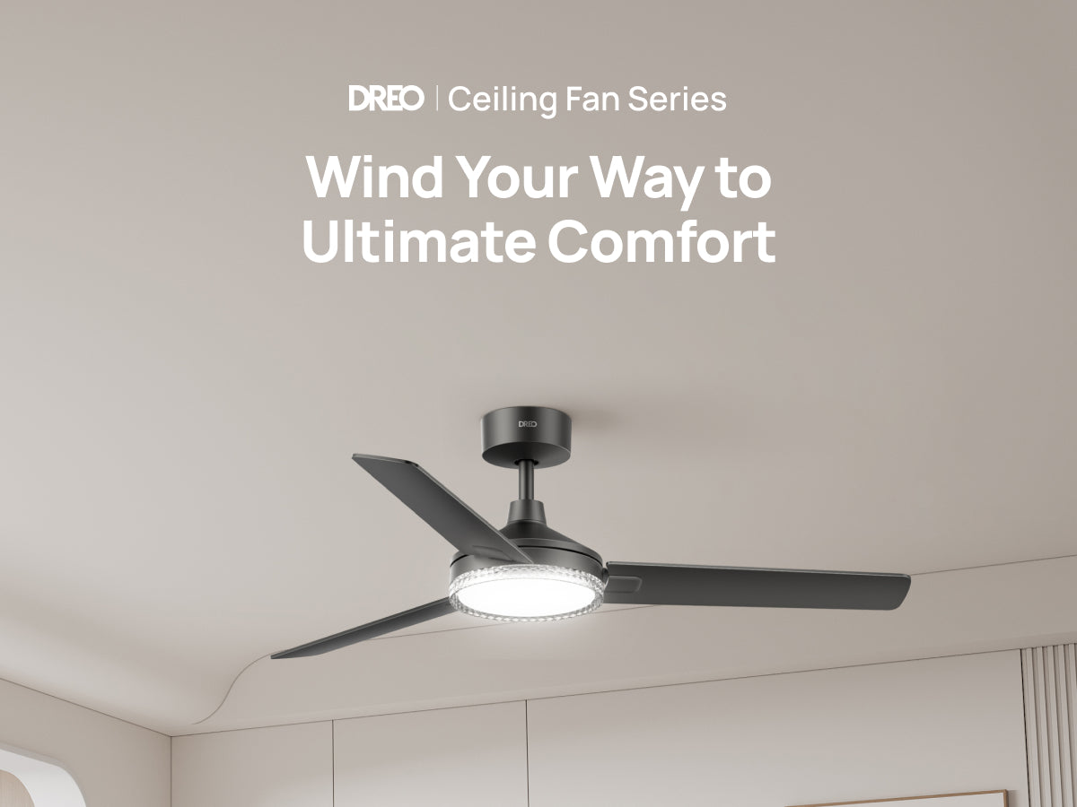 Ultimate Comfort