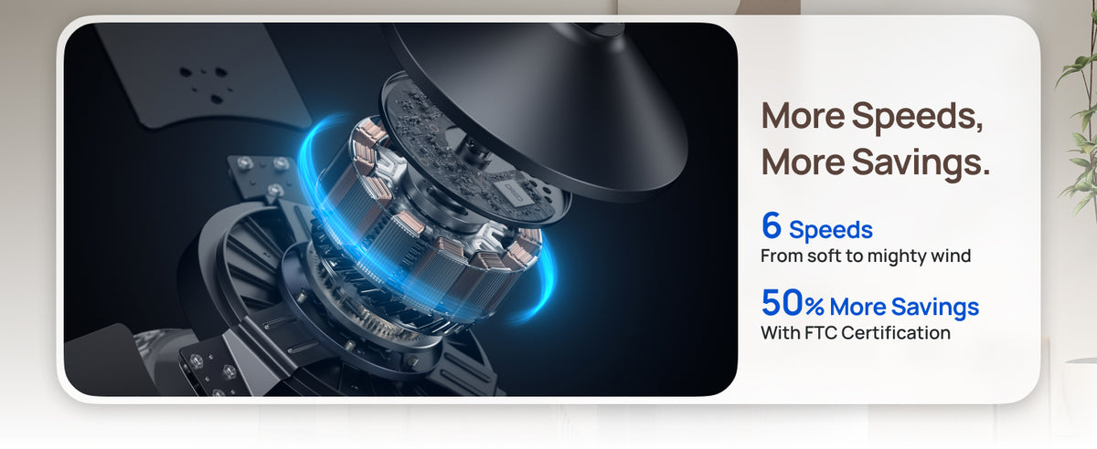 More Speeds,
More Savings