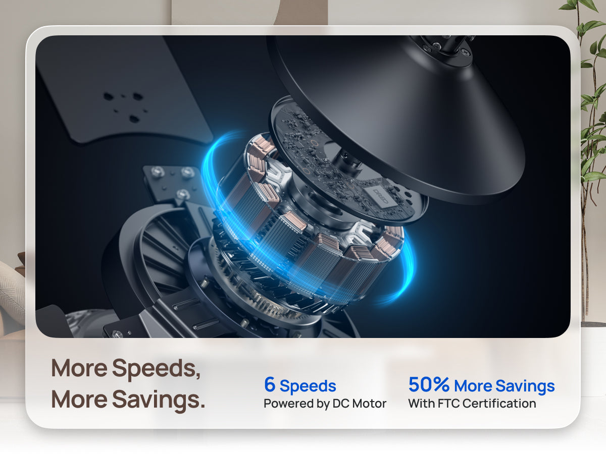 More Speeds,
More Savings
