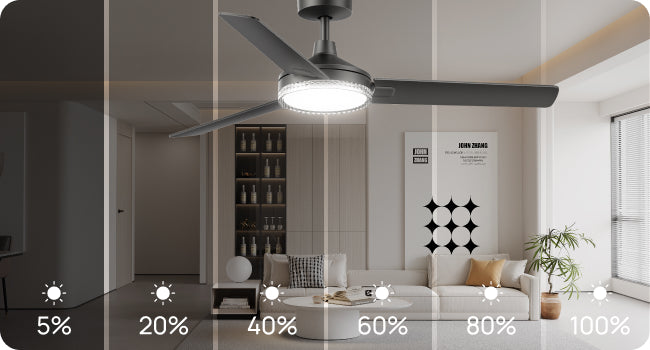 Ceiling Fan Series