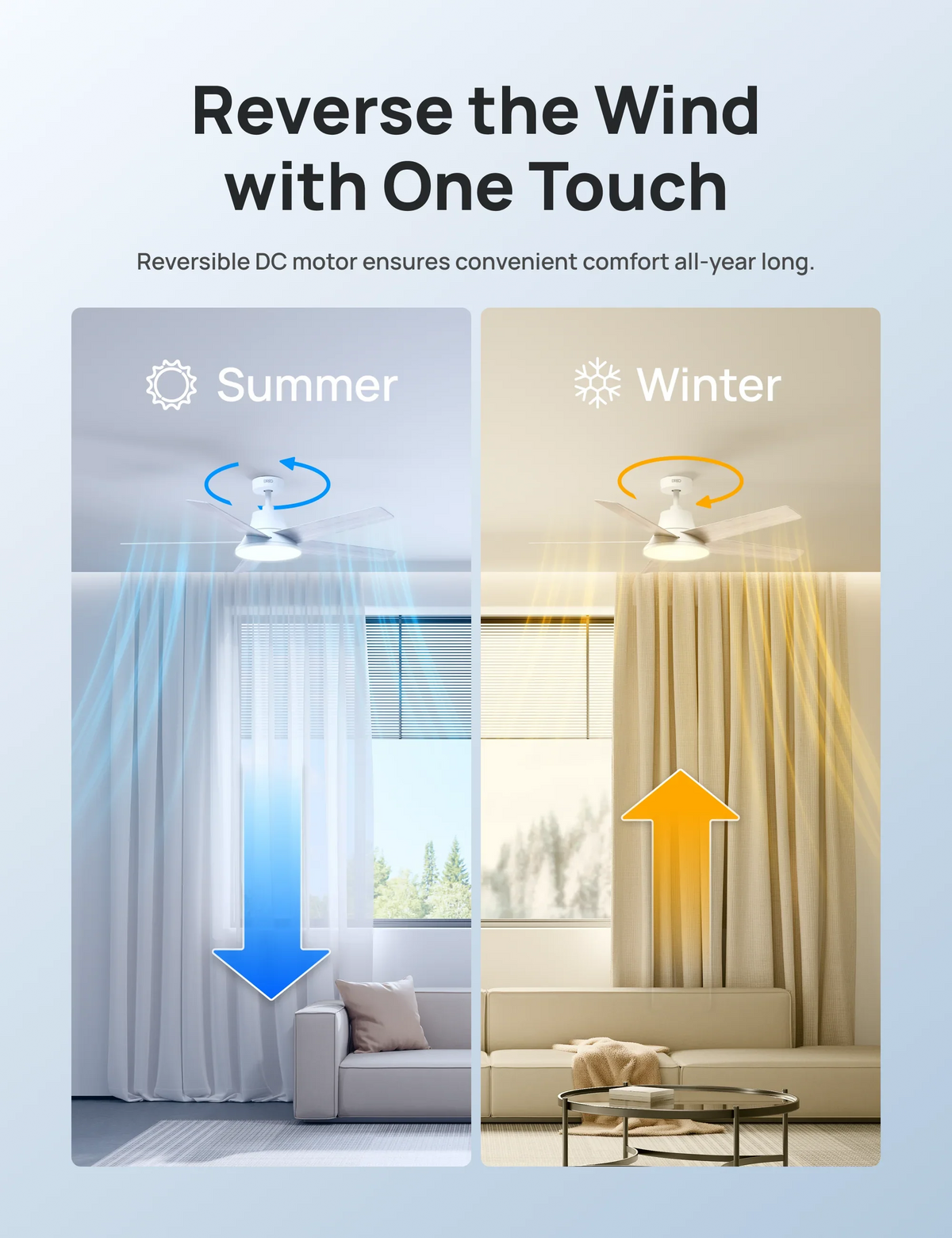 Smart Ceiling Fan CLF521S - DREO