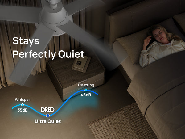 Smart Ceiling Fan 521S