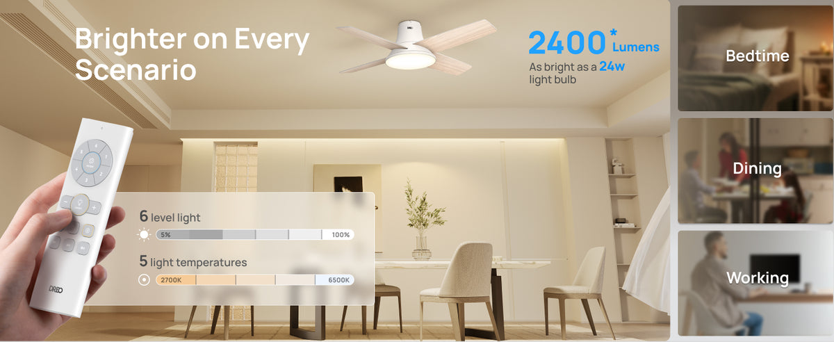 Ceiling Fan 513