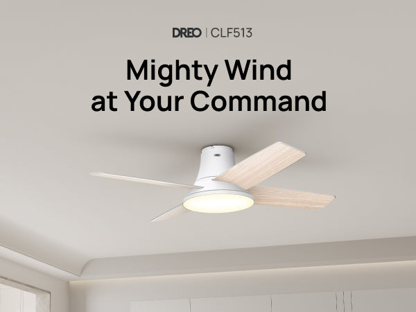 Ceiling Fan 513