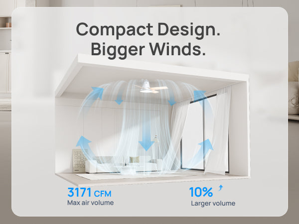 Ceiling Fan 513