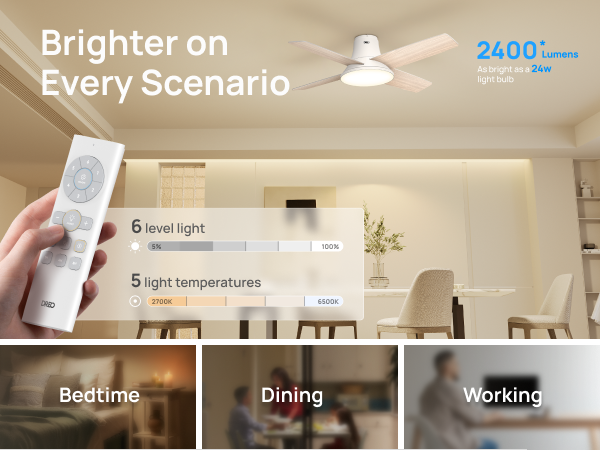 Ceiling Fan 513